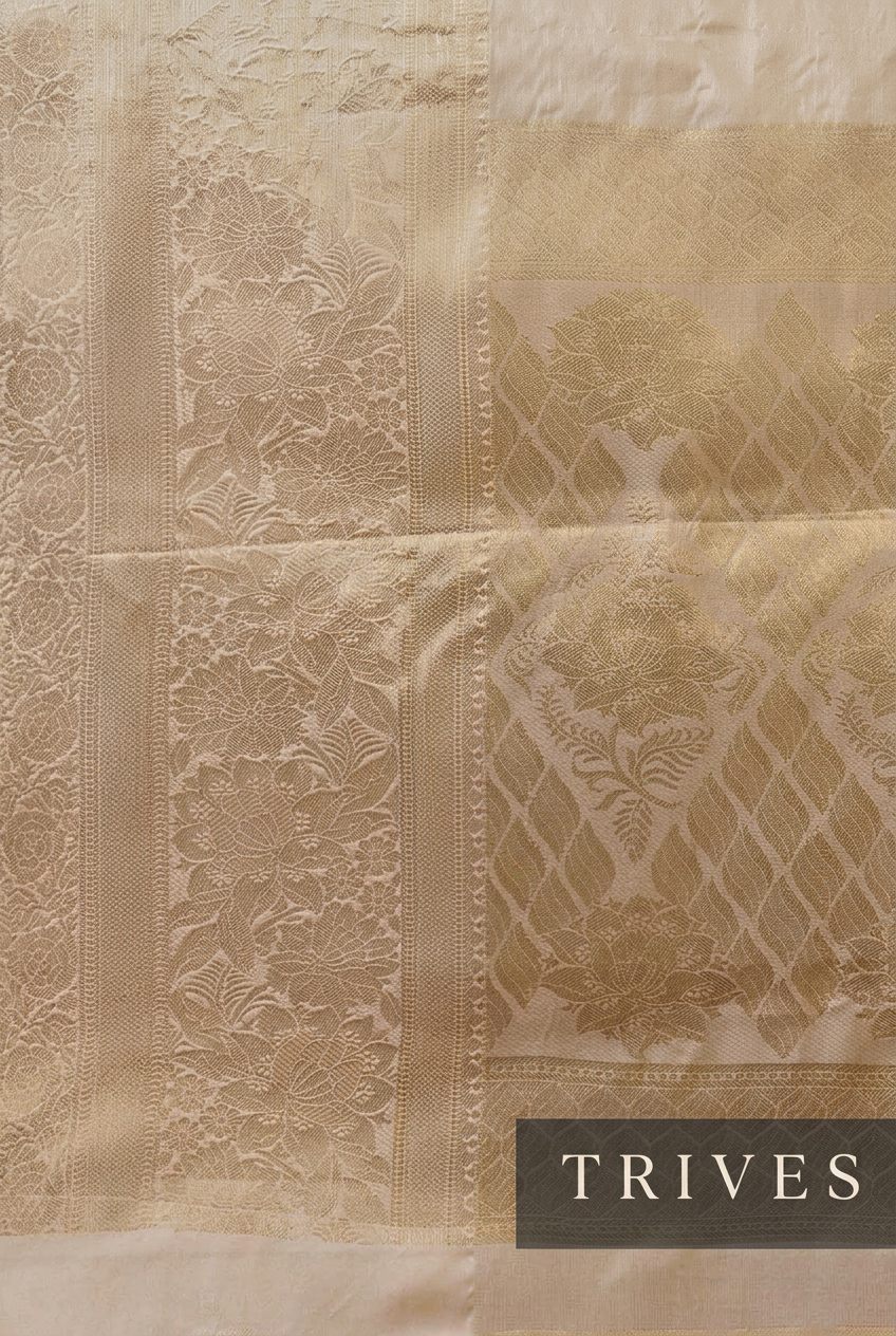 TRIVES overlay image 1